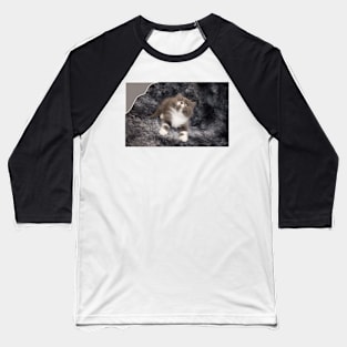 lovely cats Baseball T-Shirt